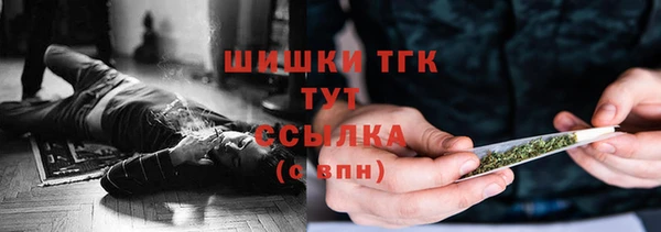 прущие грибы Приозерск
