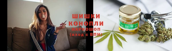 стаф Кулебаки