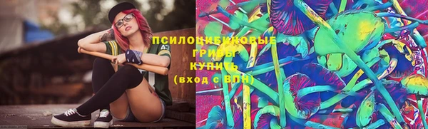 амф Майский