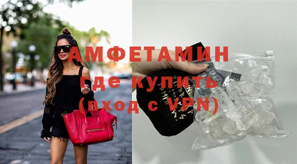 индика Киреевск