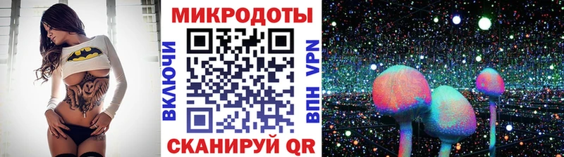 закладка  Цимлянск  Галлюциногенные грибы MAGIC MUSHROOMS 